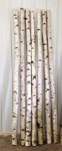 Decorative White Birch Logs, Poles & Branches & "How-To"